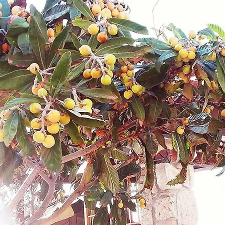 Ferienhaus Antico Casale Del Buono