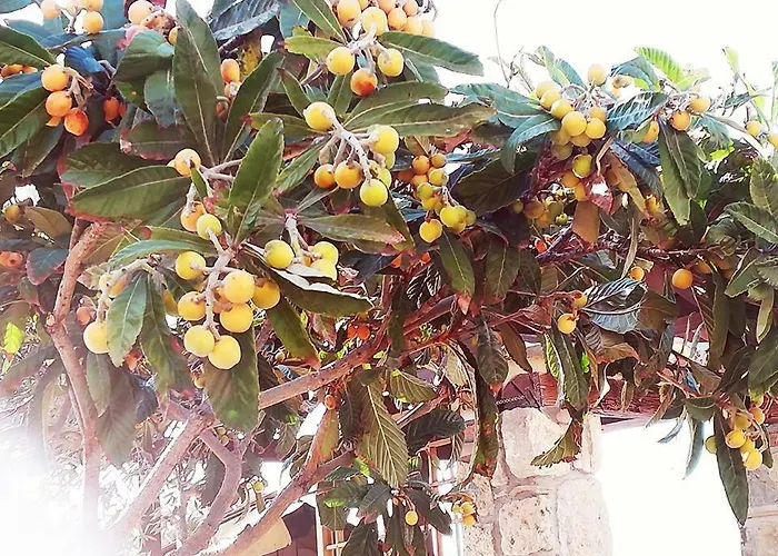 בית נופש Antico Casale Del Buono